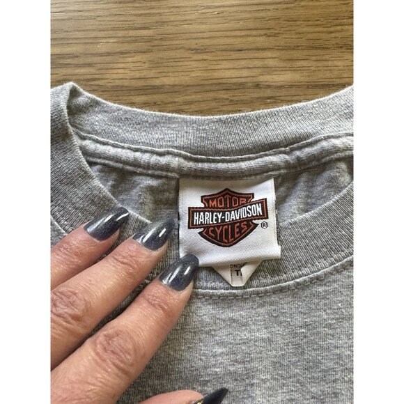 Harley Davidson Dublin Ireland T-Shirt Size Large Gray 2015 Beefy T Cotton Blend - Picture 3 of 10
